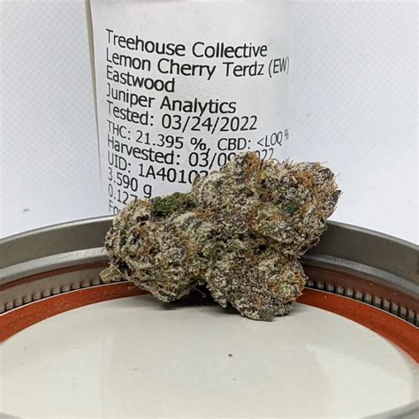 Lemon cherry terdz strain. Things To Know About Lemon cherry terdz strain. 